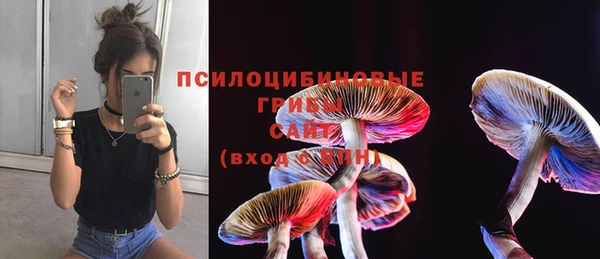 первитин Вязьма