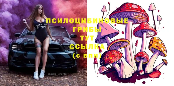 крисы Володарск