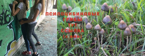 кокс Волоколамск