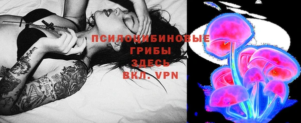 крисы Володарск