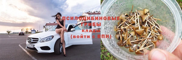 крисы Володарск